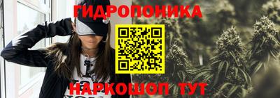 соль ск Можга